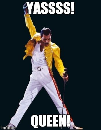 Image tagged in memes,freddie mercury - Imgflip