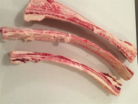Are Raw Beef Rib Bones Good For Dogs - Beef Poster