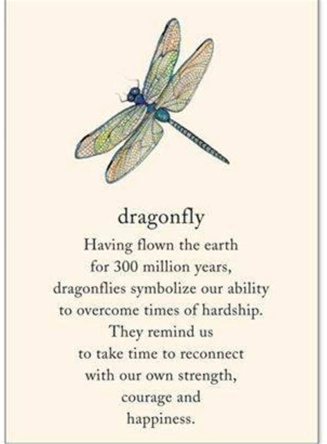 Pin by Marsha Cooper on I LIKE | Dragonfly quotes, Words, Inspirational quotes