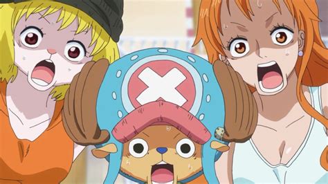 Nami Chopper & Carrot - One Piece Anime Episode 785