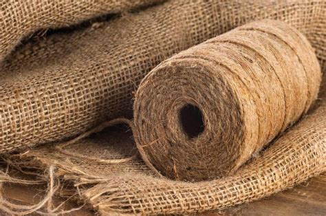 India's jute sector should diversify to cut govt dependence: Minister ...