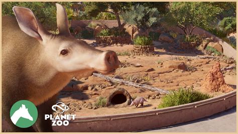 Aardvark Habitat | Desert Adventure Park | Planet Zoo - YouTube