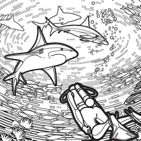 Free Shark Coloring Pages for Shark Week and More!