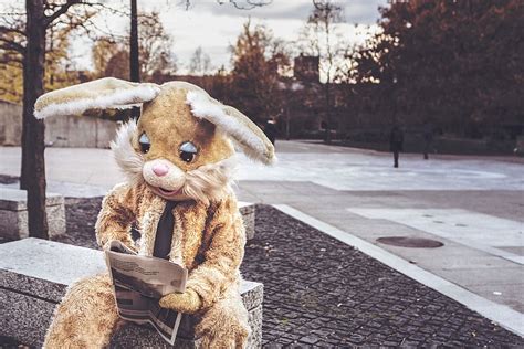 person, wearing, brown, bunny costume, brown bunny, costume, whimsical, animals, CC0, public ...