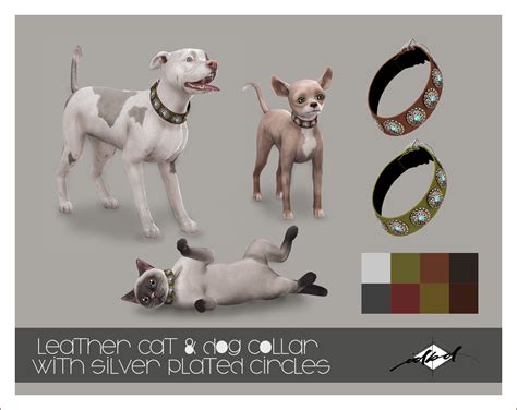 Leather Cat and Dog Collar with Silver Plated Circles