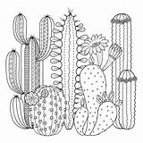 Free SUCCULENT Coloring Pages For Download Printable PDF sketch template