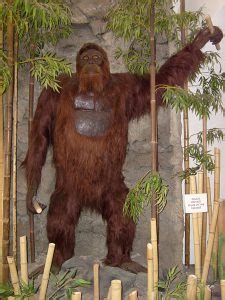 Gigantopithecus Facts, Habitat, Diet, Fossils, Pictures