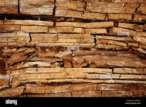 Rotten wood floor hi-res stock photography and images - Alamy