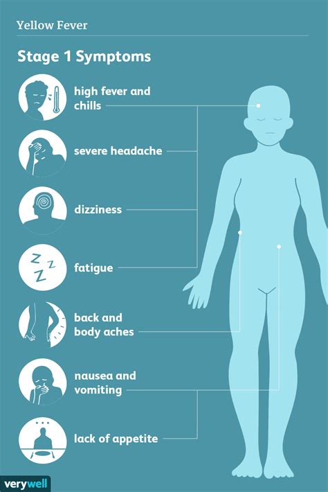 Yellow Fever: Signs, Symptoms, and Complications