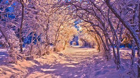 HD Nature Landscapes Winter Snow Christmas Sidewalk Roads Lights White Trees Desktop Images ...