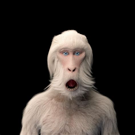 ArtStation - Macaque / Albino