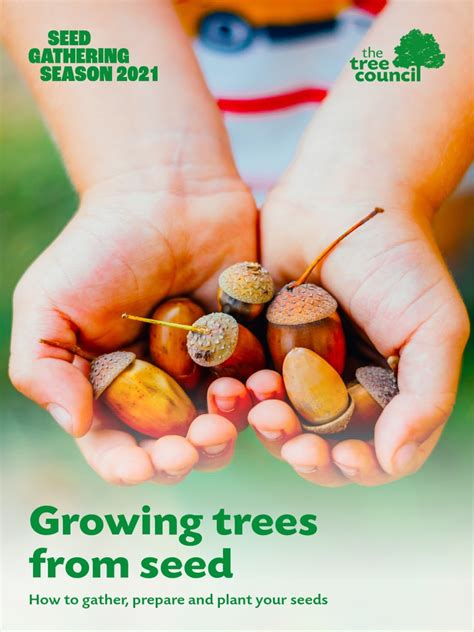 Growing Trees From Seed | PDF