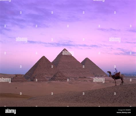 Camel rider at Giza Pyramids Giza Cairo Egypt Africa N Francis Stock Photo - Alamy