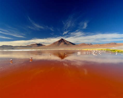 Laguna Colorada, Bolivia | Places to see, Wonders of the world, Cool places to visit