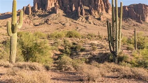 Arizona Trail: Your Ultimate Guide To The AZT - Blaze Your Path