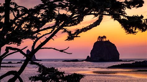 Visit La Push Beach in La Push | Expedia