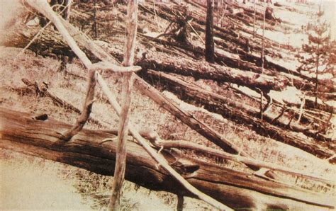 File:Tunguska event fallen trees.jpg - Wikipedia