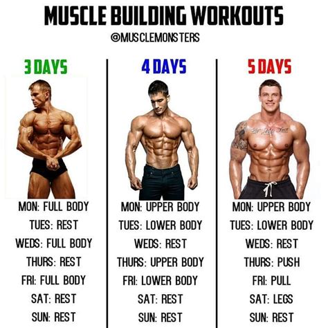 Muscle Building Workouts By @musclemonsters _ There is no best workout routine only best ...