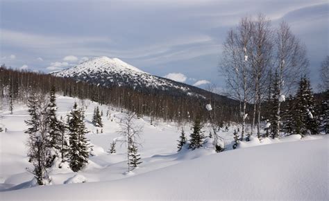 Free Images : landscape, tree, nature, forest, snow, cold, hill, mountain range, weather ...