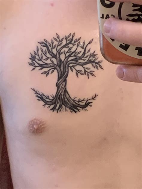 Olive tree tattoo done by Jessica Elliot at Dinky Town Tattoo, Minneapolis. My first Tattoo! : r ...