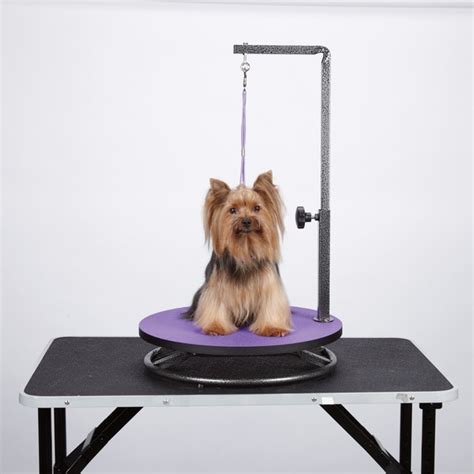 Master Equipment Small Pet Grooming Purple Table - 14947932 - Overstock ...