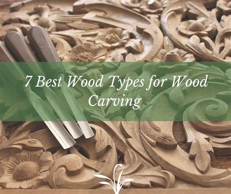 7 Best Wood Types for Wood Carving - Sumo Gardener