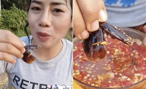 Wait, What? Woman Tries Fried Cockroaches With Tomato Sauce - Watch Viral Video