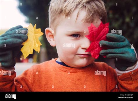 Boy covering eye with autumn leaf Stock Photo - Alamy