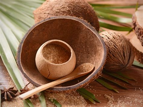 Palm Sugar vs Coconut Sugar - What's the Difference? - Northern Nester