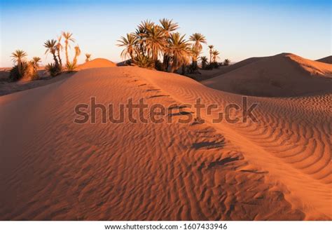 4,373 Libyan Desert Images, Stock Photos & Vectors | Shutterstock