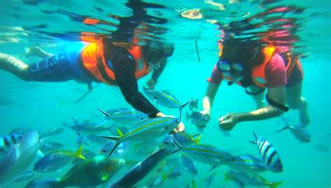 Snorkeling - Pangkor Island Malaysia