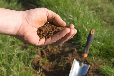 How to Take a Soil Sample - CFC Farm & Home