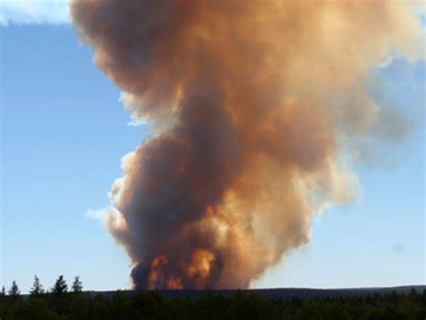 America’s Forest Fire Problem | Hoover Institution America’s Forest ...