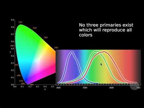 Color Science Basics For Filmmakers - YouTube