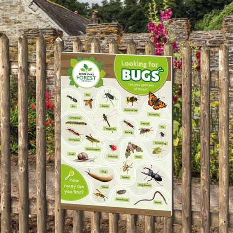 Bug Identification Sign - Perfect for Nature Areas & Forest Schools