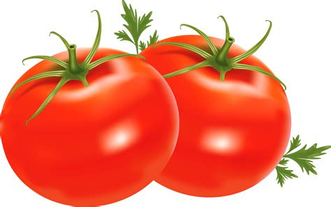 Tomatoes clipart logo, Tomatoes logo Transparent FREE for download on WebStockReview 2024