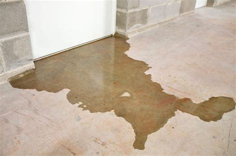 Water Seeping Through Floor In Basement – Flooring Guide by Cinvex