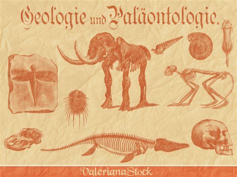 Paleontology GIMP Brushes by ValerianaSTOCK on deviantART | Gimp brushes, Paleontology, Gimp