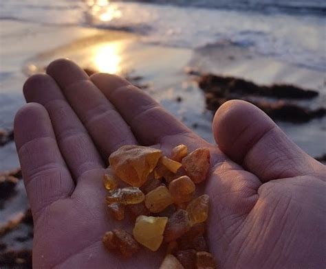 What is Baltic Amber and How Does it Work - All About its Effects