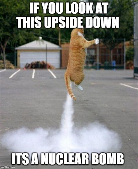 Rocket cat - Imgflip