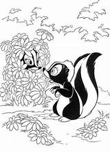 Skunk coloring Pages To Download And print For Free sketch template