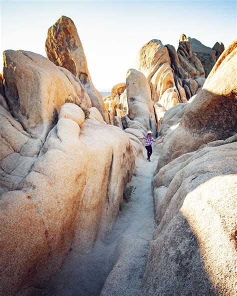 Top 8 Rock Formations - Joshua Tree National Park — Flying Dawn Marie ...