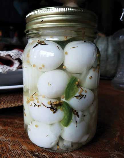 Spicy Fermented Eggs Recipe | FERMENTATION | Pickled quail eggs, Quail eggs, Fermented eggs