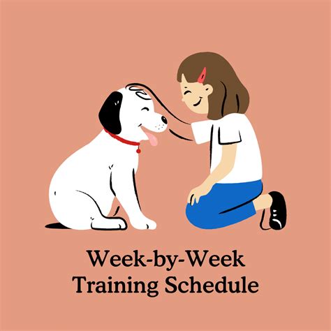 Week by Week Puppy Training Schedule - Zigzag