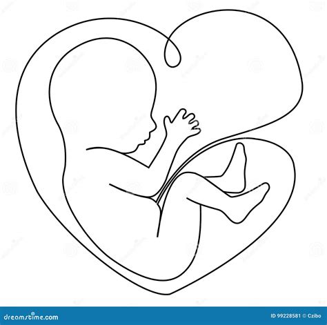 Beautiful Baby In Womb Drawing