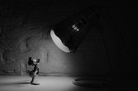 Free photo: black-and-white, cartoon, donald duck, spotlight, walt disney, electric Lamp ...