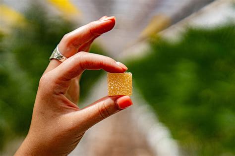 Exploring the World of Edible Cannabis: Understanding Strength, Effects, and Dosage | CannaSource