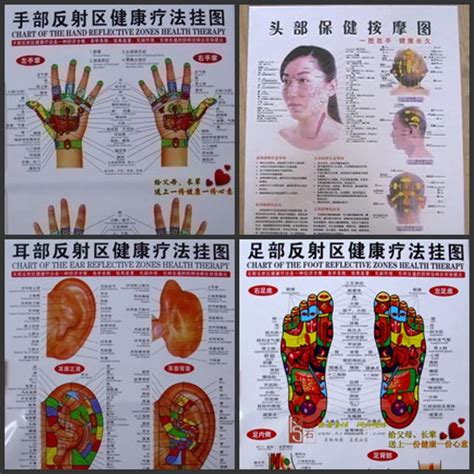 Waterproof 4 chart foot hand head ear reflective zone health therapy Massage acupuncture ...