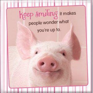 keep smiling | Pig quotes funny, Pigs quote, Funny good morning messages