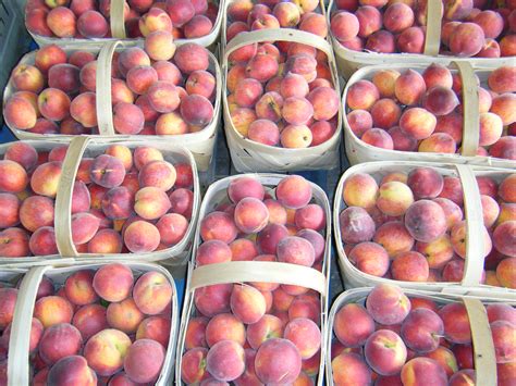 South Carolina or Georgia Peaches? | Parkesdale Farm Market Blog